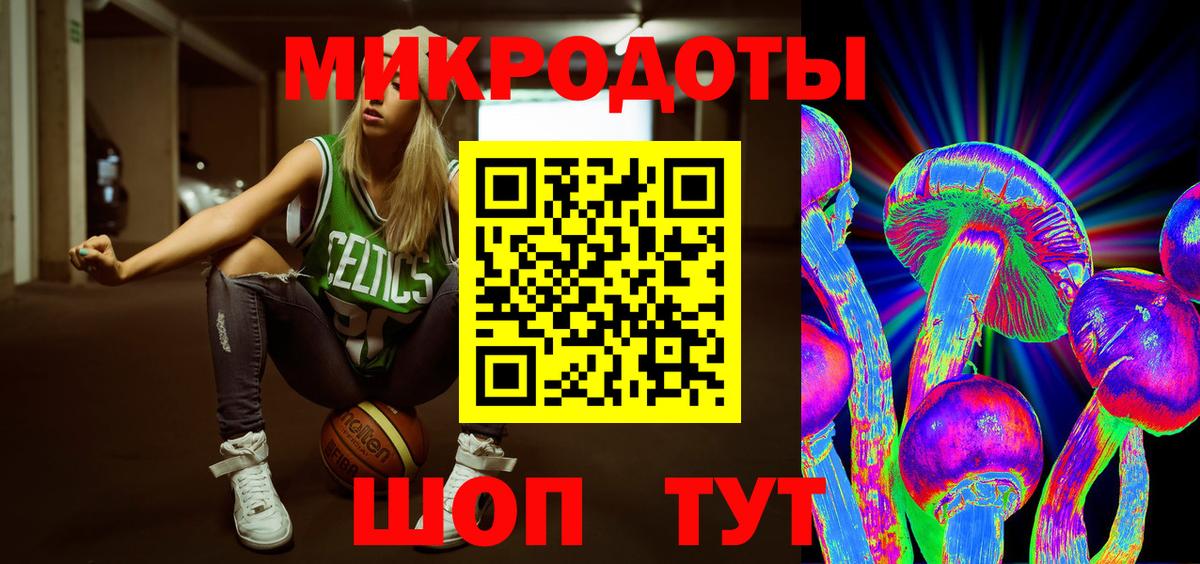 Псилоцибиновые грибы Cubensis Избербаш