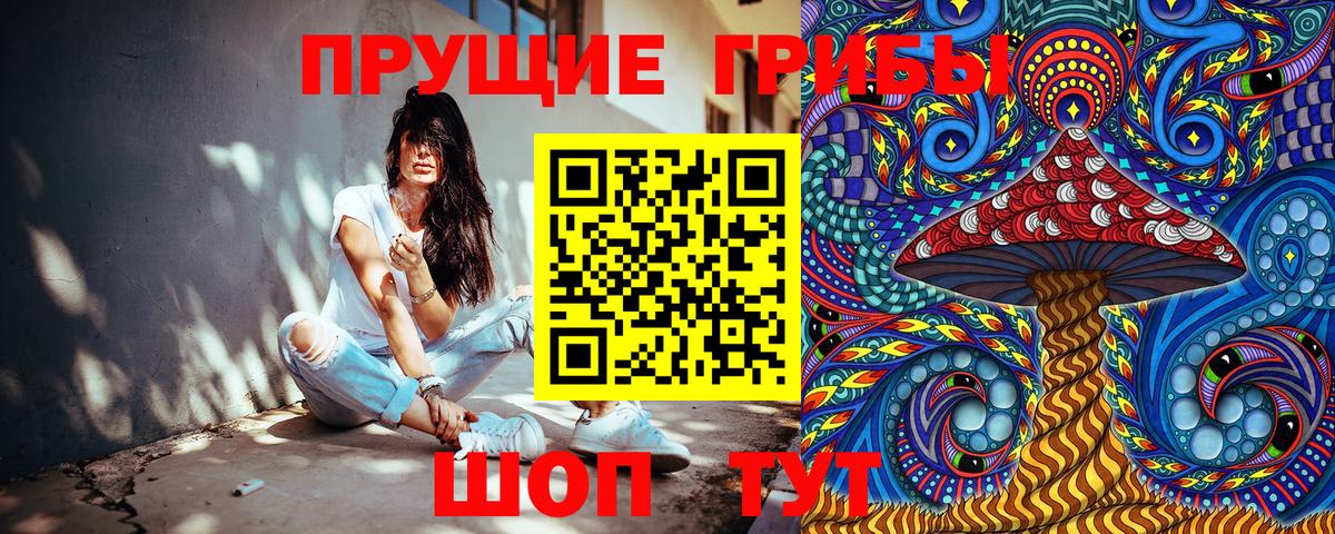 Избербаш  Псилоцибиновые грибы мицелий  Вход с VPN 